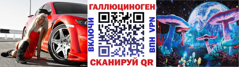 Купить где  Ипатово  Галлюциногенные грибы Psilocybe 